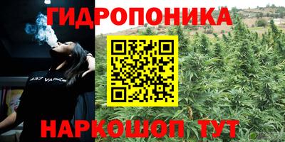 прущая мука Кингисепп