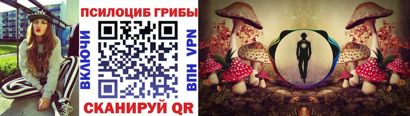 Псилоцибиновые грибы Psilocybe  Югорск 