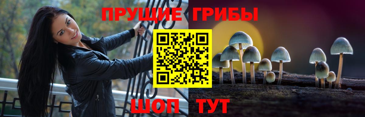 Югорск  Псилоцибиновые грибы прущие грибы  наркота  Вход с VPN 